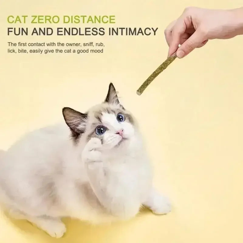 Cat Mint Breath Fresheners