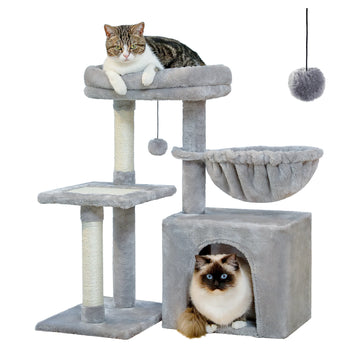 Cat Climbing & Play Tree