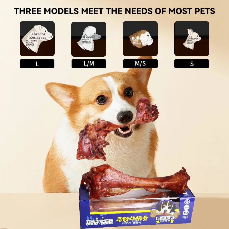 Nutritious Beef Dog Treats