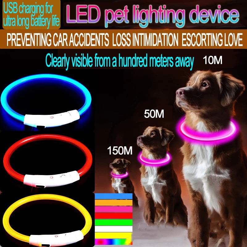 Bright Glow Dog Collar