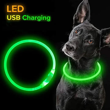 Luminous Dog Leash Collar