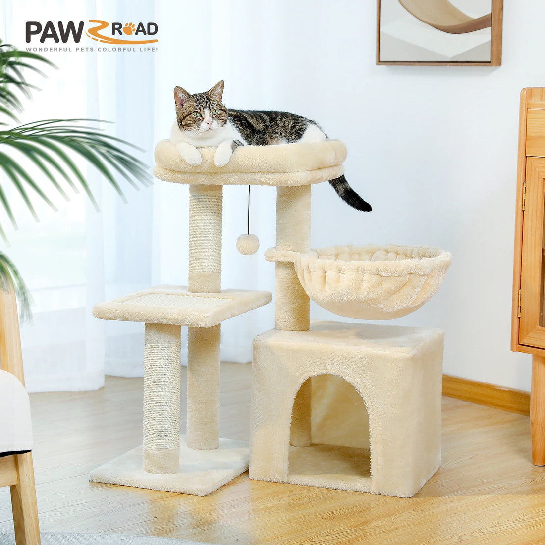 Cat Climbing & Play Tree