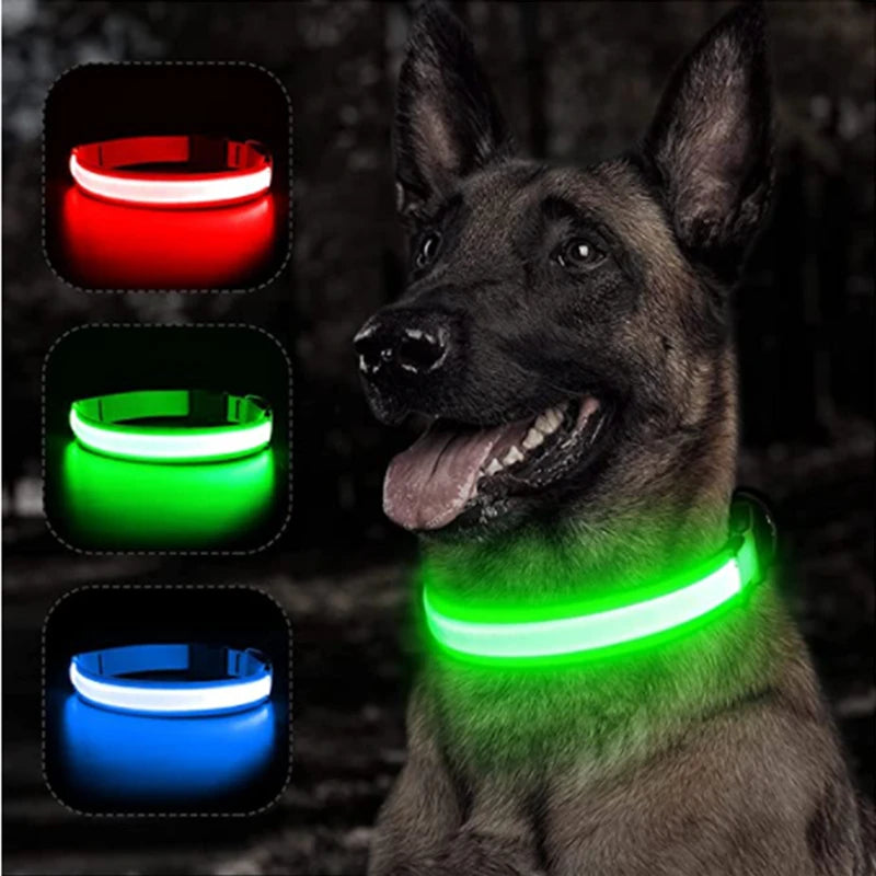 Glowing Pet Safety Collar