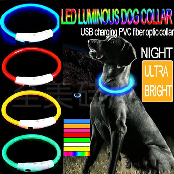 Bright Glow Dog Collar