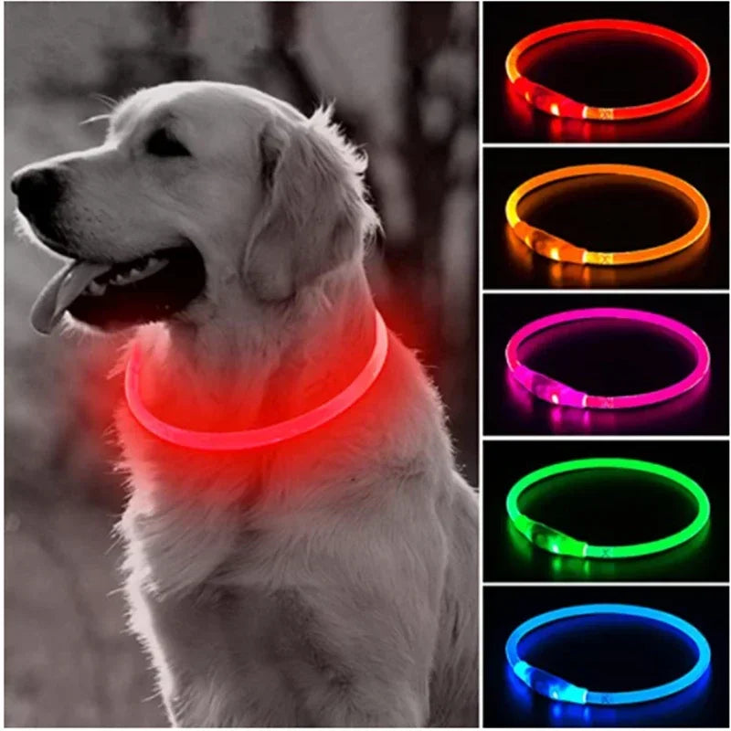 Luminous Dog Leash Collar
